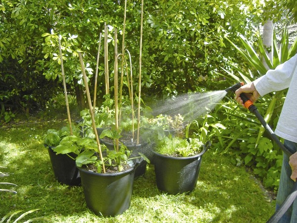 Example of a hose trigger attachment to prevent water wastage in the garden